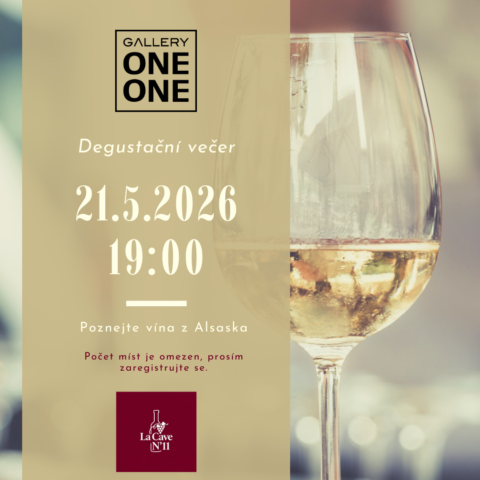 🍷 Večer vína v Gallery One One